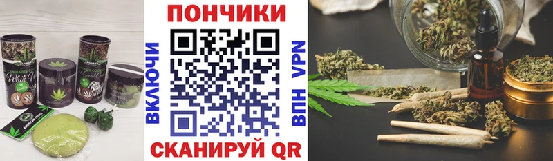 продажа наркотиков  Алагир  Canna-Cookies конопля 